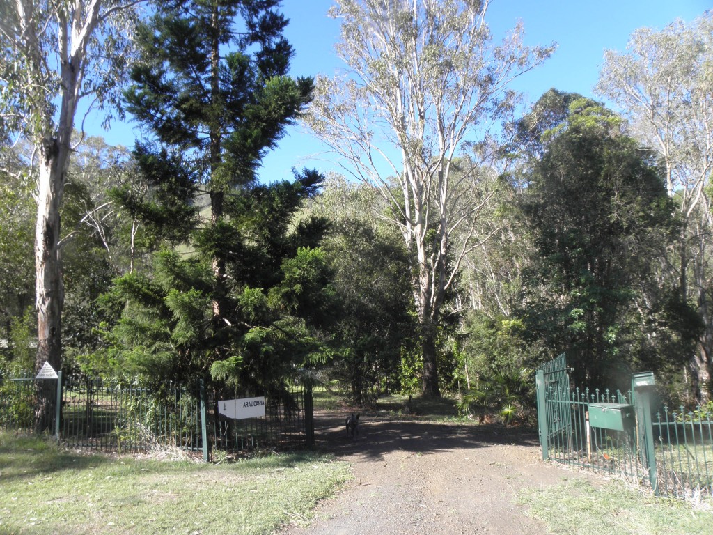 Front gate, Araucaria, 1770 Running Creek Rd